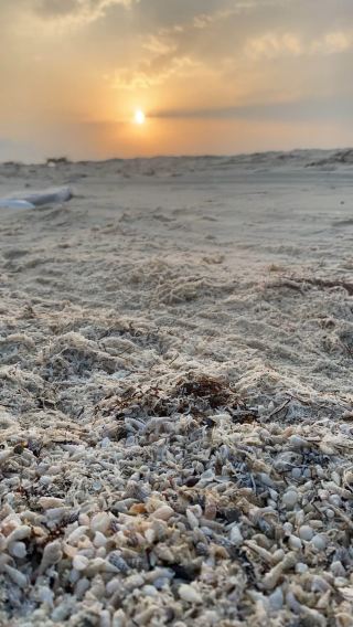 The Stunning Al Shuweihat Island