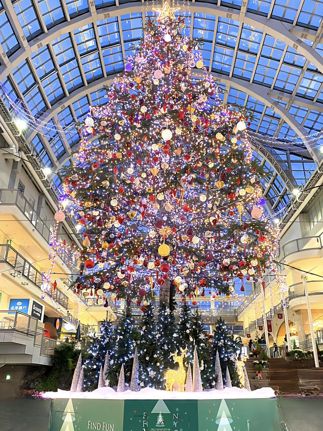 冬の札幌ジャンボクリスマスツリー 2024