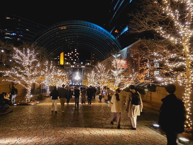 A Christmas illumination at Yebisu Garden