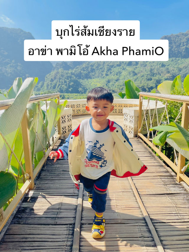 เที่ยวไร่ส้ม อาข่า พามิโอ้ Akha PhamiO