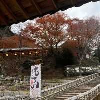 奈良-長谷寺の紅葉をリサーチ！