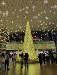 역대급 화려한 코엑스 별마당도서관⭐️
