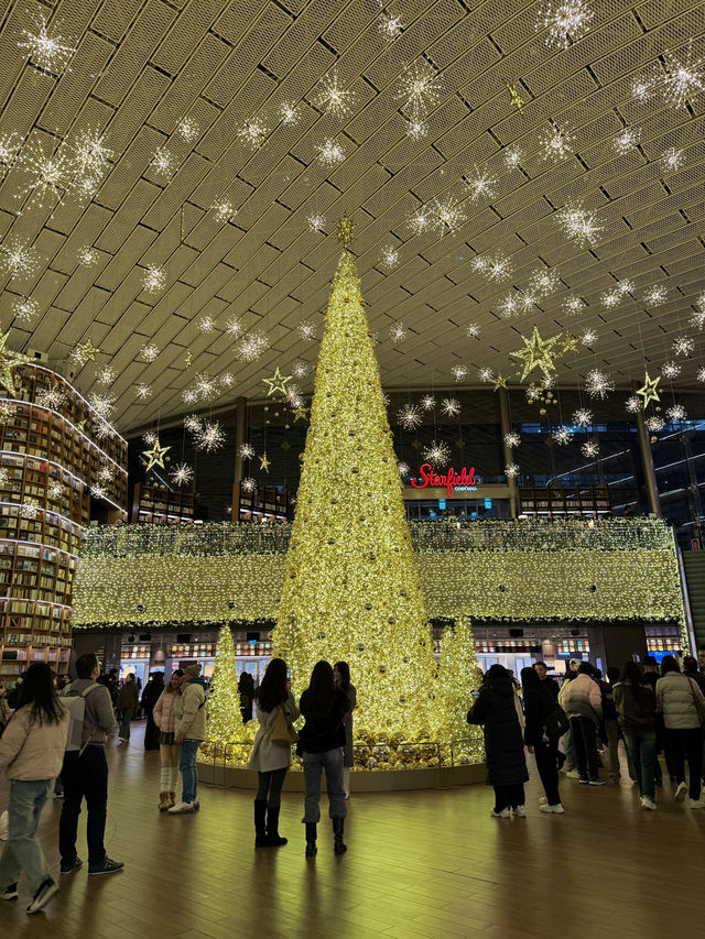 역대급 화려한 코엑스 별마당도서관⭐️