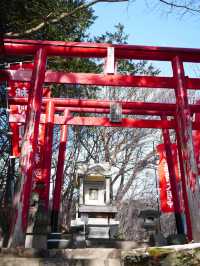 【栃木那須冬旅】パワースポットとしても注目されている温泉神社