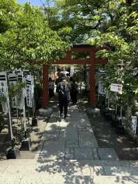 Step into History at Tsurugaoka Hachimangu, Kamakura