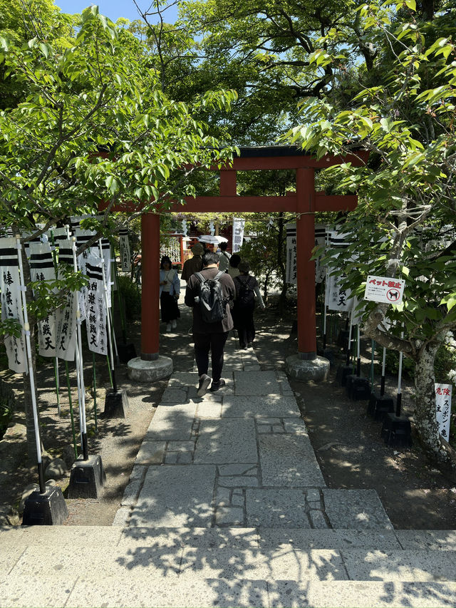 Step into History at Tsurugaoka Hachimangu, Kamakura