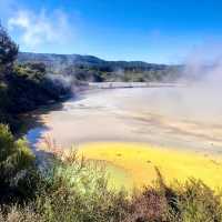 Stepping into Another World: My Visit to Rotorua’s Volcanic Wonderland!