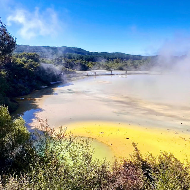 Stepping into Another World: My Visit to Rotorua’s Volcanic Wonderland!