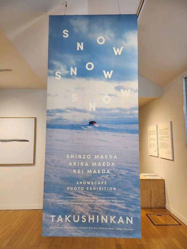 최고의 사진을 감상할수있는 탁신관갤러리❄️💙