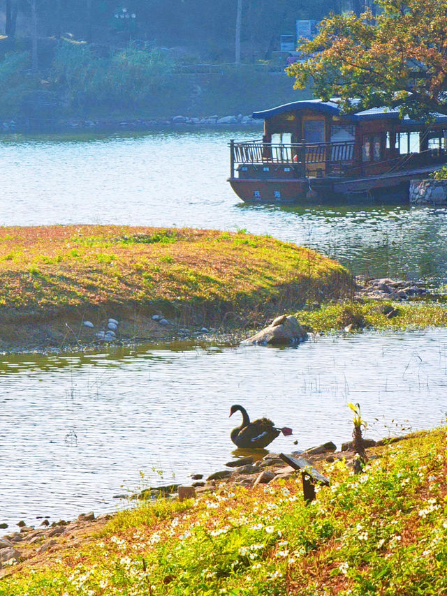 珠海景點推薦：香山湖公園的自然美景與休閒體驗🌳
