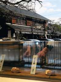 【近江八幡】街歩きでめぐる！歴史を感じる観光スポット5選