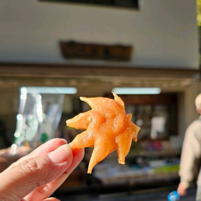 大阪周邊景點〔箕面公園〕