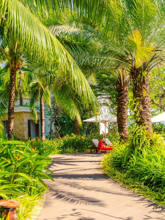 다시 가고싶은 나트랑 감성 리조트 추천🏝️🩵