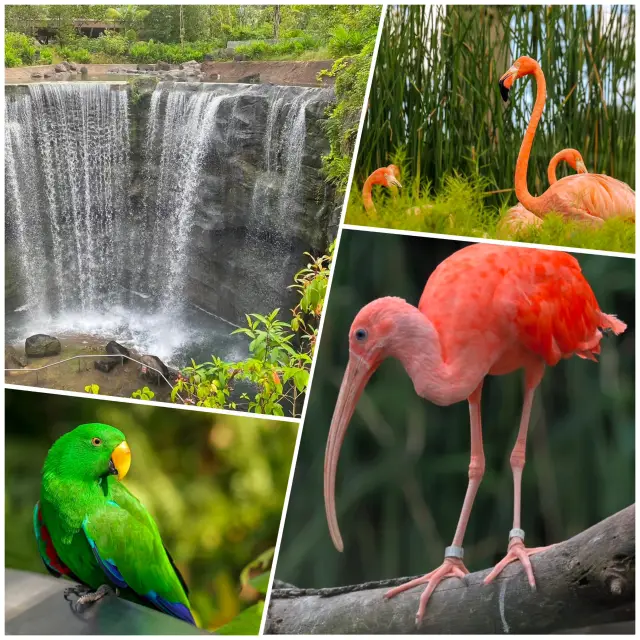 Singapore Bird Paradise - Singapore's Newest Park
