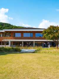 부산의 새로운 모모스커피 도모헌점🏡☕️