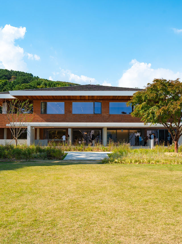 부산의 새로운 모모스커피 도모헌점🏡☕️