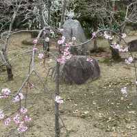 🇯🇵【香川県】四国八十八ヶ所霊場 第87番札所 長尾寺