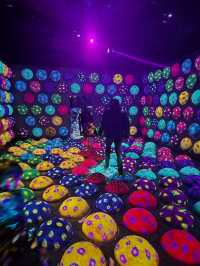 Teamlab Forest Fukuoka 🌳