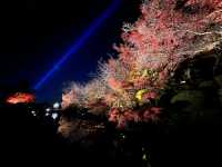 Night Photography Extravaganza -- The Kiyomizu-dera 