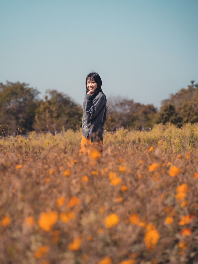 放假郊外走走 ～ 塱原自然生態公園  