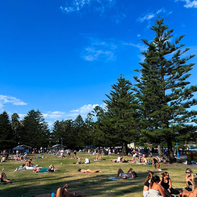 Relaxation and Adventure: A Perfect Day at Coogee Beach