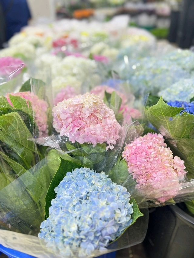 ตลาดดอกไม้สด ปากคลองตลาด