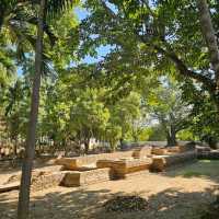 เที่ยวโบราณสถานเวียงกุมกาม
