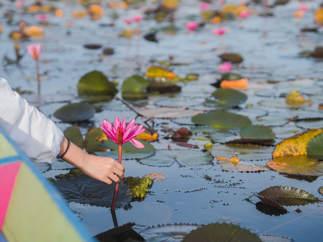 PHATTHALUNG 🌱🌤️