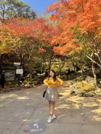 My Ultimate Hwadam Day Trip Itinerary Guide