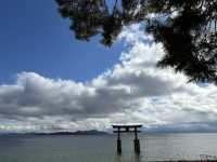不自駕也能遊水上鳥居～白鬚神社