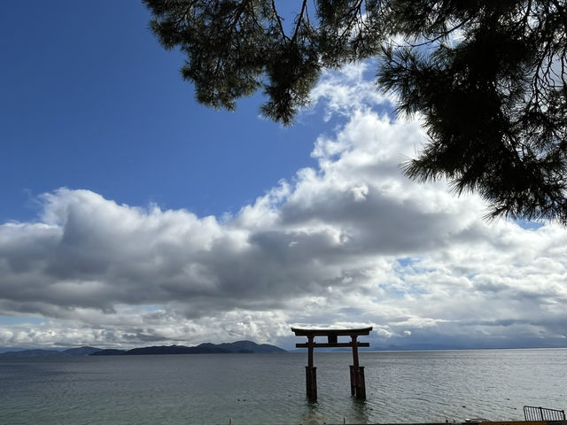不自駕也能遊水上鳥居～白鬚神社