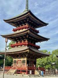 Naritasan Day Trip: Unveiling a Hidden Gem Near Tokyo
