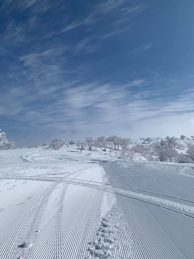 2 Days in Sapporo: A Winter Wonderland Adventure