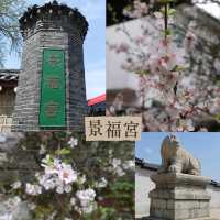 首爾藝術文化一日遊😎