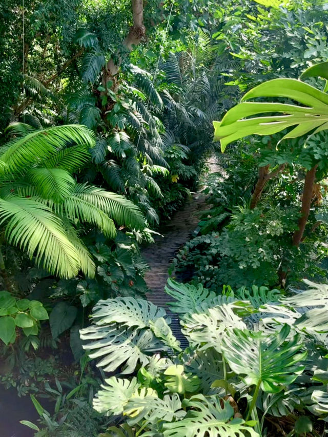 🏝️자연과 함께 역사깊은 온실을 구경하고 체험할 수 있는 🌴파리 5구 여행지💚