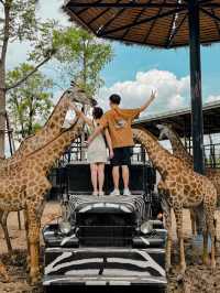 泰國曼谷必去景點🦒大城獅子動物園🐅🦓