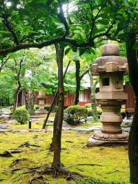 Kyu Asakura House: Step into Old Tokyo