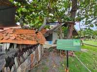 Get Growing Community Farm
