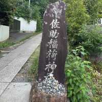 🇯🇵【神奈川県】狐がいっぱい！佐助稲荷神社⛩️