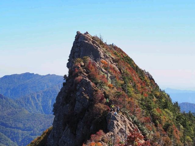 石鎚もみじ祭り