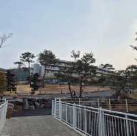 충청북도 가졷 여행지 추천 '벨포레리조트'