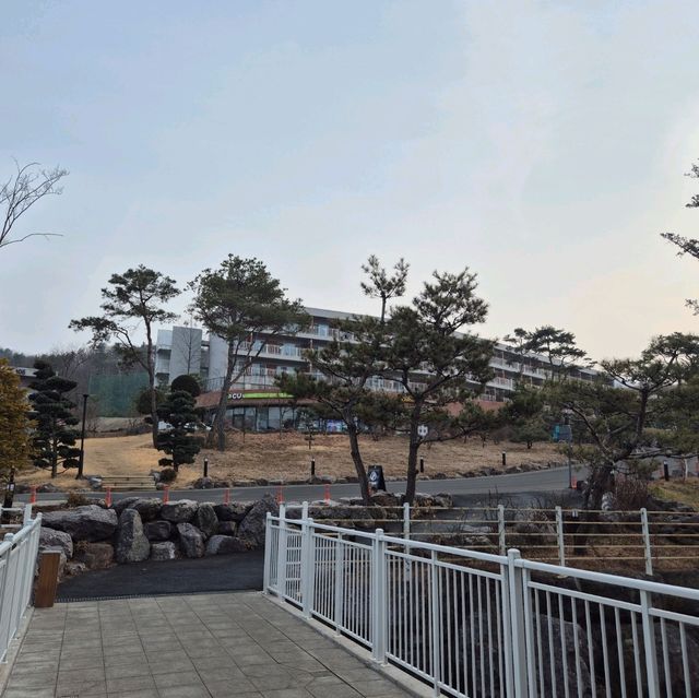 충청북도 가졷 여행지 추천 '벨포레리조트'