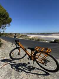 Rottnest Island Cycling Guide