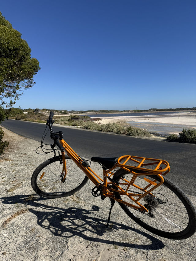 Rottnest Island Cycling Guide