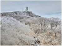 วิธีเดินทาง: Beppu Station -> Beppu Ropeway