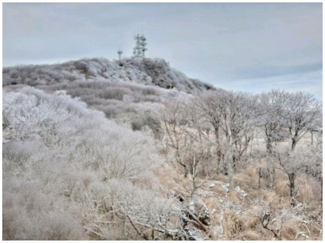 วิธีเดินทาง: Beppu Station -> Beppu Ropeway