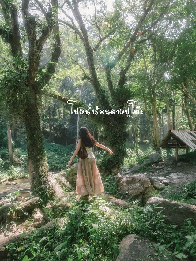 เชียงดาว