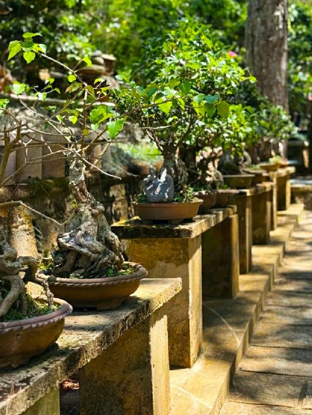 STUNNING BUDDHIST TEMPLE IN DALAT.