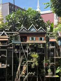 "Siem Reap Uncovered: Temples, Tastes & Nightlife"