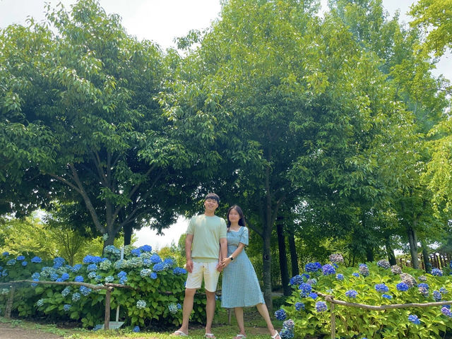 한국판 네덜란드🌷💐